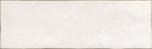 Amazonia Artic 6,5x20.jpg