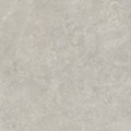 Dozza Greige 100x100 A4H1152 (2).jpg