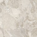 Dozza Stone Greige 100x100 A4H1153 (1).jpg