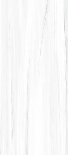 Płytka gresowa wielkoformatowa 120x280 cm z szarą żyłą połysk rektyfikowana A4H1217 Dolomite