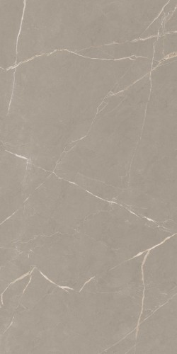 Płytka gresowa Essenza Grey 59x119 A4H112 szara z żyłą rektyfikowana w połysku