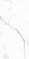 Gres Szkliwiony na pPodłogę 60x120 biały z szarą żyłą matowy rektyfikowany A4H108 Statuario Superiore