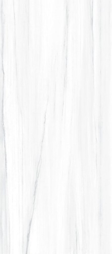 Gres szkliwiony na podłogę 120×270 cm szara matowa rektyfikowana A4H186 DOLOMITE